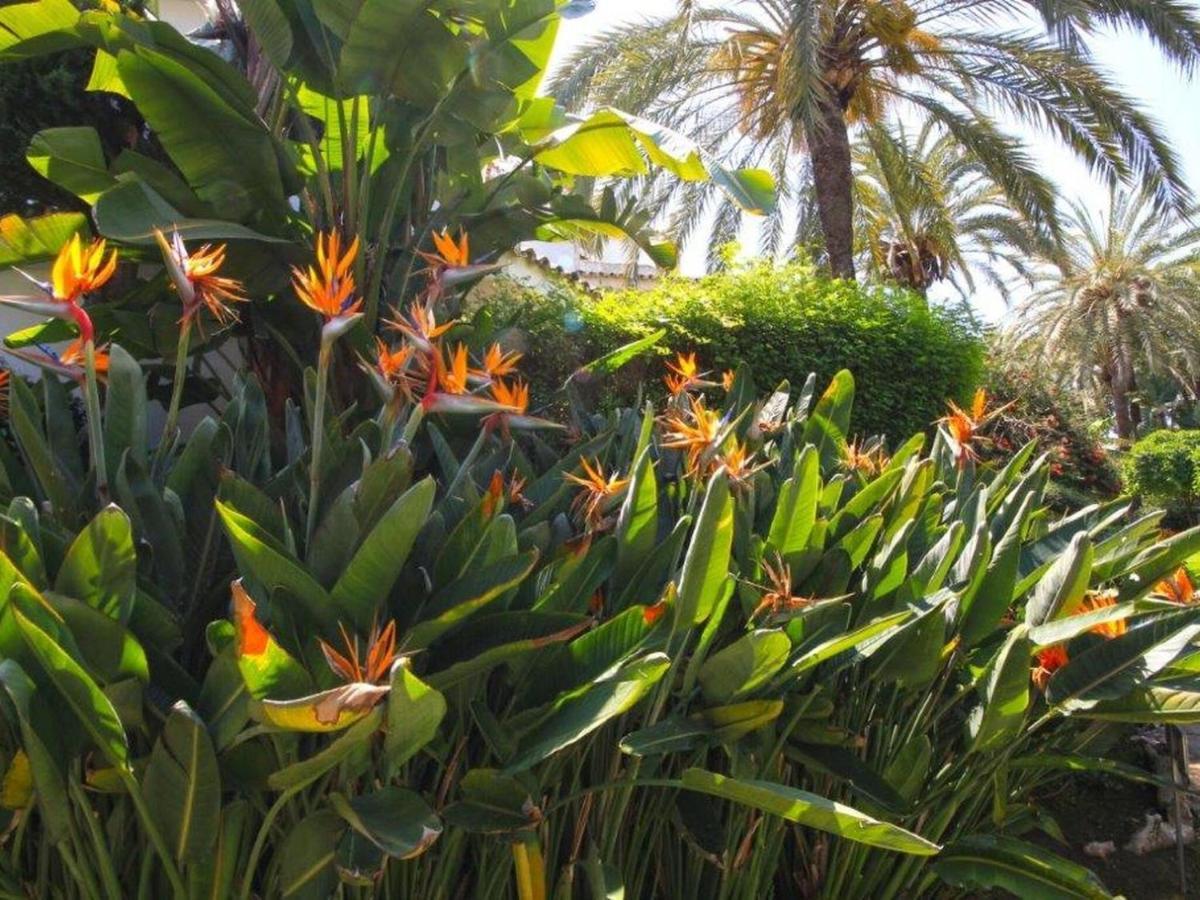 Belvilla By Oyo Golden Beach House Marbella Zewnętrze zdjęcie